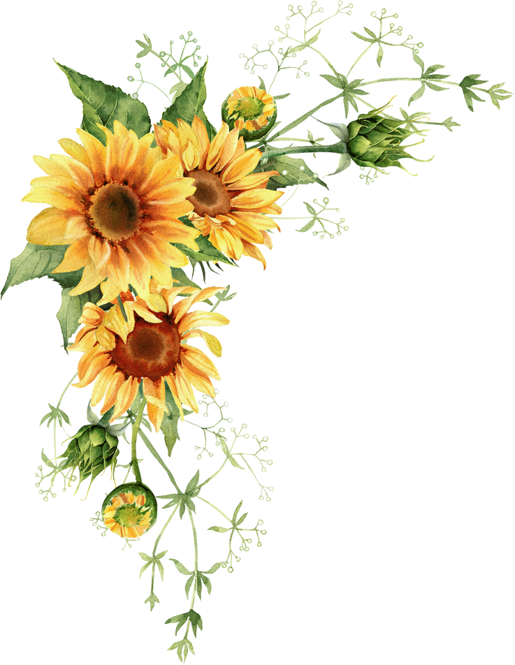 Watercolor sunflower wreath